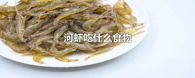 ​河虾吃什么食物