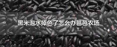 ​黑米泡水掉色了怎么办芭芭农场