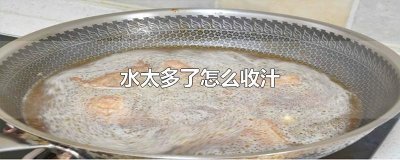 ​水太多了怎么收汁