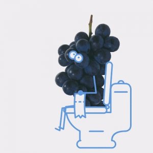 ​表情包‖便便合集，事已至此，先拉个屎吧。可爱有创意