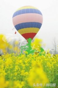 ​50项户外休闲活动让你周末忙起来 运动、赏花、采摘应有尽有