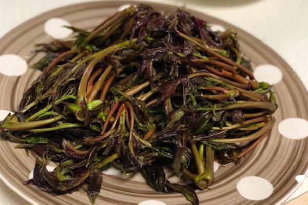 香椿有苦味正常吗 香椿为什有股怪味