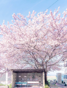 ​闰年中2月的天数是多少