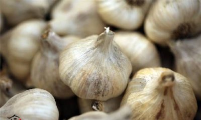 ​大蒜能放冰箱保存,大蒜能不能放冰箱