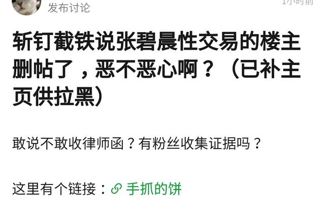 张碧晨针对孩子事件的处理对策（黑心网友假造谣张碧晨）(13)