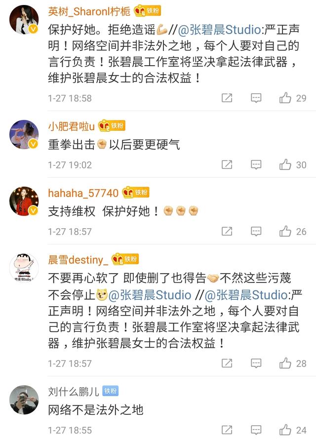 张碧晨针对孩子事件的处理对策（黑心网友假造谣张碧晨）(14)