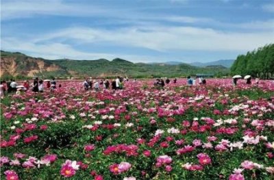 ​山西年卡旅游景点有哪些全方位 人气景点