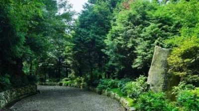 ​河南省林州市有哪些不容错过的旅游景点