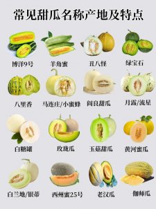 ​又到夏日吃甜瓜的季节了！附常见甜瓜及品种说明