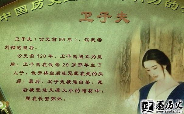 卫子夫画像