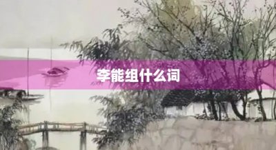 ​李能组什么词(李能组什么词不是这个理)