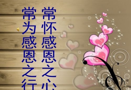 特别感恩感激的话语：表达感感激感恩的话