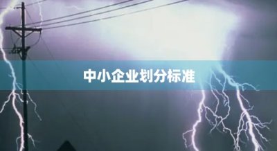 ​中小企业划分标准