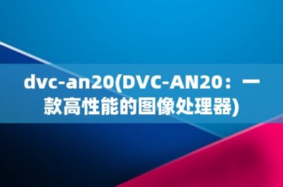 ​dvcan20(DVCAN20：一款高性能的图像处理器)