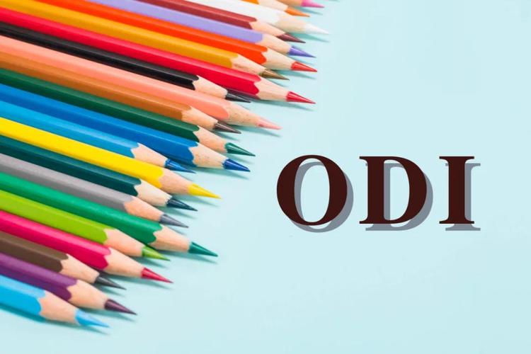 odi是什么意思（odi解释）