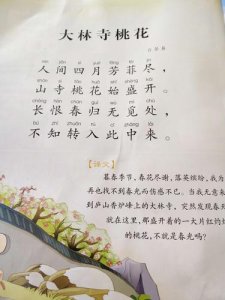 ​大林寺桃花古诗的意思翻译（大林寺桃花古诗的意思翻译是什么）