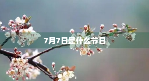 7月7日是什么节日(9月30日是什么节日纪念日)