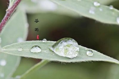 ​谷雨节气吃什么传统食物 谷雨节气养生吃什么