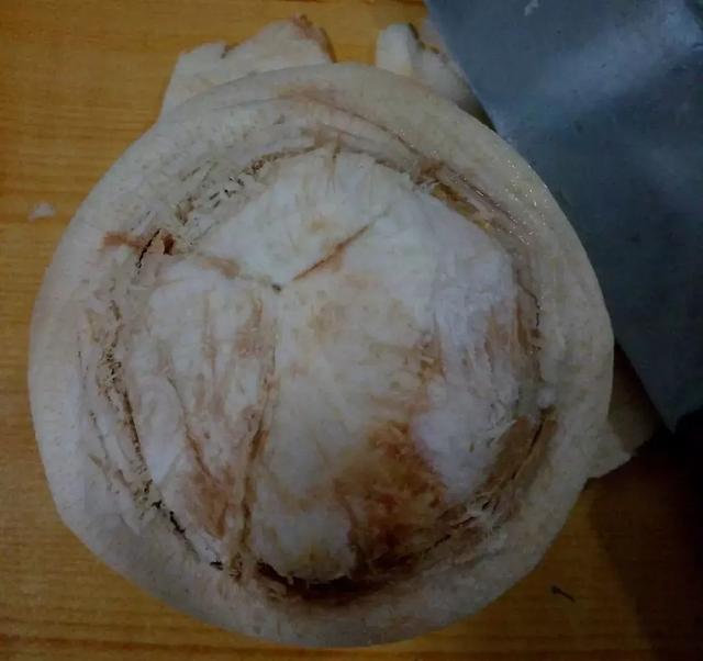 椰子怎么打开椰子的正确打开方法（椰子怎么打开的教程）(7)