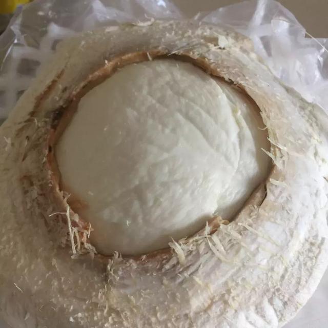 椰子怎么打开椰子的正确打开方法（椰子怎么打开的教程）(11)