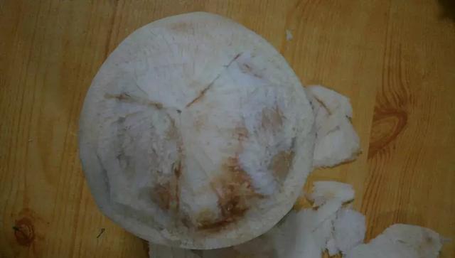 椰子怎么打开椰子的正确打开方法（椰子怎么打开的教程）(4)