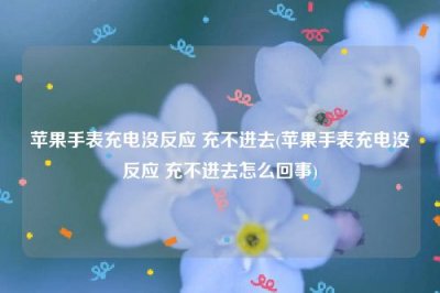 ​苹果手表充电没反应 充不进去(苹果手表充电没反应 充不进去怎么回事)