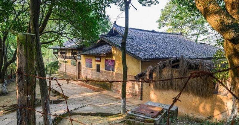 网络配图