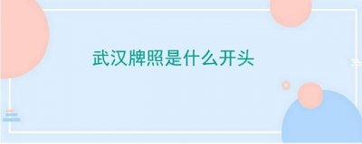 ​武汉牌照是什么开头
