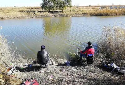 ​夏季钓鱼，钓友别再纠结钓深还是浅，看完你就知道怎么钓了