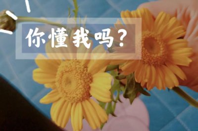 ​女人经常提离婚的心理（女人为什么总想离婚）