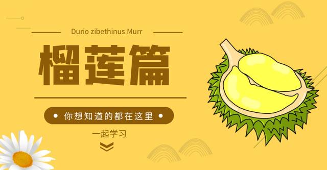 吃榴莲的七大禁忌（新手吃榴莲必须要知道七个事）(1)