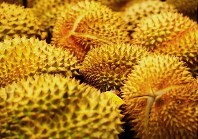 吃榴莲的七大禁忌（新手吃榴莲必须要知道七个事）(2)