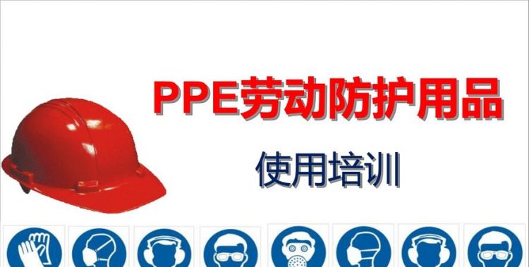 ppe这个专业有研究生吗