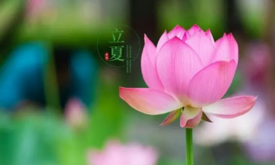 ​立夏祝福语简短,立夏祝福语