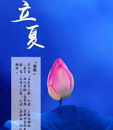 蜻蜓祝福语