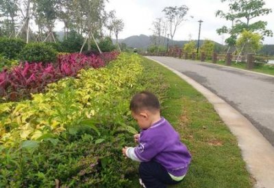 ​单亲妈妈养的男孩子