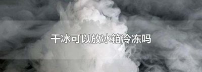 ​干冰能放冰箱冷冻室,干冰可以放冰箱冷冻吗