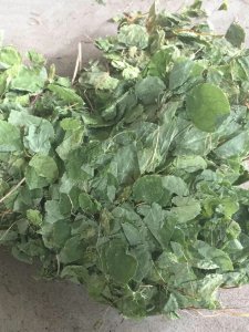 ​霪羊霍的功效与作用 在补肾壮阳方中加入起效快，效果显著！