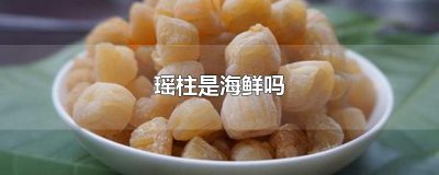 ​瑶柱是海鲜吗