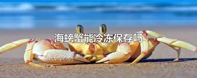 ​海螃蟹能冷冻保存吗
