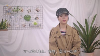 ​什么鱼吃鱼屎