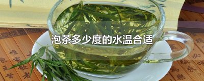 ​泡茶多少度的水温合适