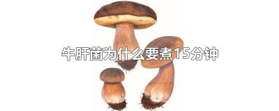 ​牛肝菌为什么要煮15分钟