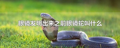 ​眼镜发明出来之前眼镜蛇叫什么