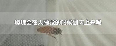 ​蟑螂会在人睡觉的时候到床上来吗