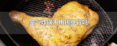 ​空气炸锅不用锡纸行吗