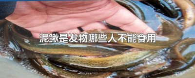 ​泥鳅是发物哪些人不能食用