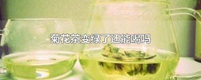 ​菊花茶变绿了还能喝吗