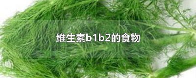 ​维生素b1b2的食物主要来源于哪里 食物中维生素b1的主要来源是