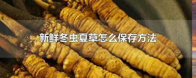​新鲜冬虫夏草怎么保存方法